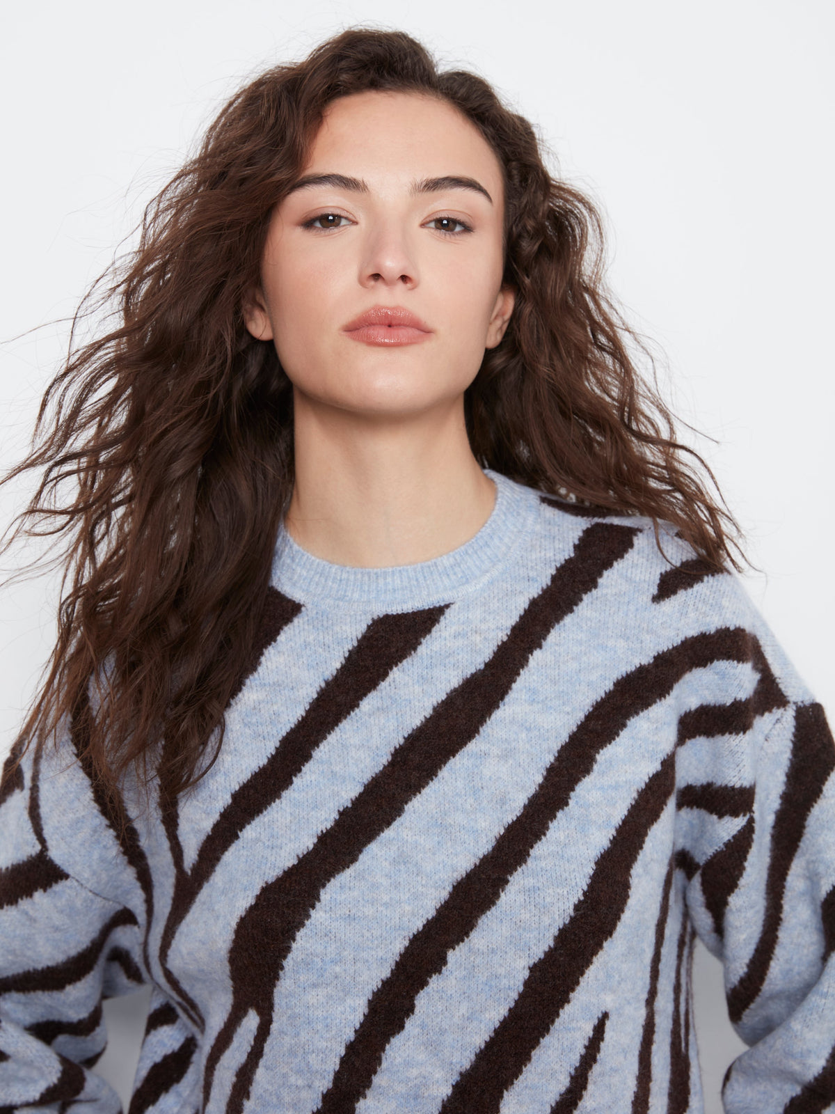Charlie B Animal Print Knit Sweater - Style C2153-721C