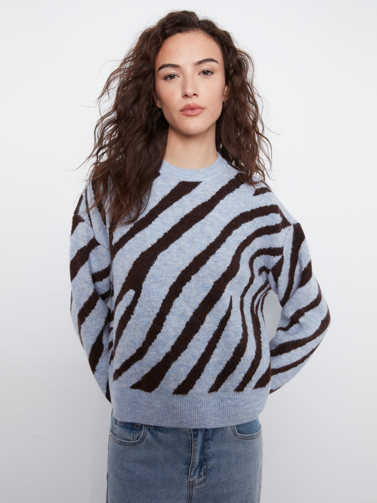 Charlie B Animal Print Knit Sweater - Style C2153-721C