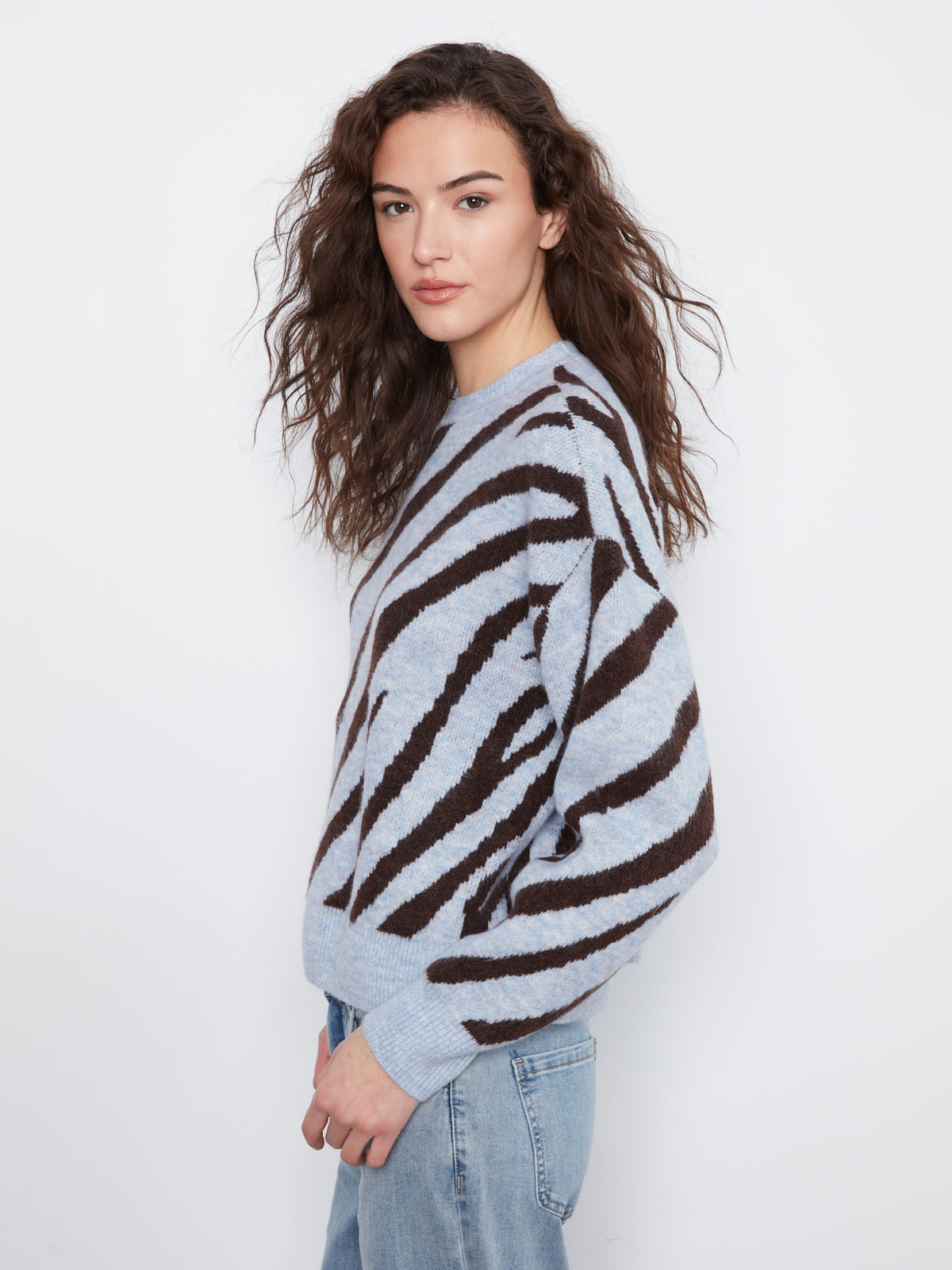 Charlie B Animal Print Knit Sweater - Style C2153-721C